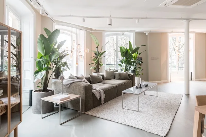 Tienda Bolia en Dinamarca: sala de exhibición de muebles con un sofá gris, plantas grandes y ventanales.